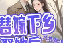 替嫁下乡，娶她后，他全家都活了简艾陈宵小说大结局免费试读-瑞奇文学