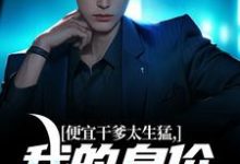 夏景风小说完整版《便宜干爹太生猛,我的身价翻亿倍》免费阅读-瑞奇文学