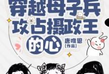 甄好轩辕确小说完整版《穿越母子兵，攻占摄政王的心》免费阅读-瑞奇文学