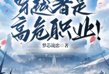 众所周知，穿越者是高危职业！小说的免费电子版在哪里可以下载或阅读？-瑞奇文学