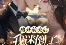 已完结小说《离开前夫后，我迷倒了豪门太子爷》最新章节-瑞奇文学