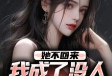 她不回来，我成了没人敢惹的混混这本小说完结了吗？免费查看最新章节-瑞奇文学