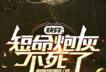 快穿：短命炮灰不死了长生小说在线章节免费阅读-瑞奇文学