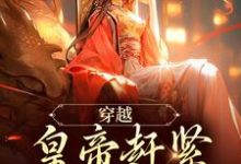 穿越：皇帝赶紧给我打江山最新章节，穿越：皇帝赶紧给我打江山免费阅读-瑞奇文学