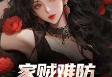 已完结小说《家贼难防:老婆是个扶弟魔》章节在线阅读-瑞奇文学