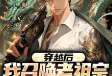 林辰小说叫什么（穿越后，我召唤老祖宗来讲课完整版免费阅读）-瑞奇文学