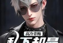 高冷青梅私下却是嘤嘤怪完整版小说，高冷青梅私下却是嘤嘤怪秦言秦芷柔-瑞奇文学