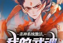 《杀神系统激活，我的武魂是哪吒》全集免费在线阅读（李云霄）-瑞奇文学