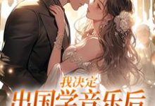 已完结小说《我决定出国学音乐后,大律师后悔了》章节在线阅读-瑞奇文学