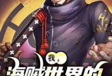 亚白完整版《我,海贼世界的不死大将》小说免费阅读-瑞奇文学