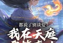 都说了别谈爱!我在天庭要搞事业小说全文阅读需要付费吗?寻找免费资源-瑞奇文学