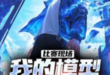 已完结小说《比赛现场，我的模型吓呆鹰酱》章节免费阅读-瑞奇文学