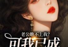 小说《老公瞧不上我?可我已成科技大佬!》章节免费阅读-瑞奇文学