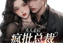 夫人走后,疯批总裁寻遍全世界小说有没有完整的免费版本在线阅读?-瑞奇文学