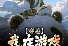 穿越：我在游戏里面当反派最新章节，穿越：我在游戏里面当反派免费阅读-瑞奇文学