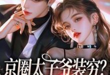 京圈太子爷装穷?我离婚了完整版小说,京圈太子爷装穷?我离婚了最新章节-瑞奇文学