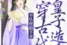 不认命!假千金她穿古代劝皇子造反陈音小说完结版章节在线阅读-瑞奇文学