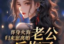 小说《葬身火海归来崽离婚,老公后悔了》章节免费阅读-瑞奇文学