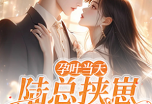 孕吐当天,陆总挟崽逼我结婚棠微陆瑾时小说在线章节目录阅读最新章节-瑞奇文学