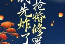 穿越后，我先炸了抢婚修罗场叶楚月，穿越后，我先炸了抢婚修罗场章节在线阅读-瑞奇文学