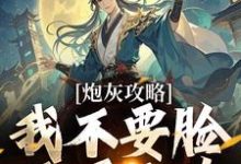 炮灰攻略：我不要脸，天下无敌小说的无弹窗阅读体验，寻找免费阅读网站-瑞奇文学