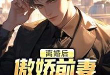 离婚后，傲娇前妻被疯狂打脸完整版小说免费阅读，离婚后，傲娇前妻被疯狂打脸小说-瑞奇文学