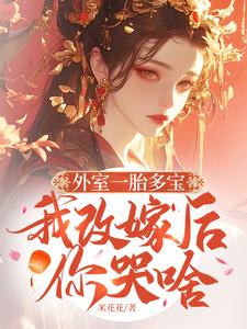 外室一胎多宝，我改嫁后你哭啥赵福宝，外室一胎多宝，我改嫁后你哭啥完整版最新章节