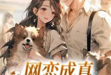 网恋成真，这小子乐癫了苏念初小说免费阅读-瑞奇文学