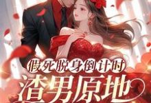 完结版《假死脱身倒计时，渣男原地哭成狗》免费阅读-瑞奇文学