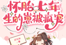 《皇帝绝嗣?怀胎七年生的崽被疯宠》小说大结局免费试读 沈瑞曦小说-瑞奇文学