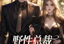 野性总裁穿上娇夫马甲小说，野性总裁穿上娇夫马甲在线阅读-瑞奇文学