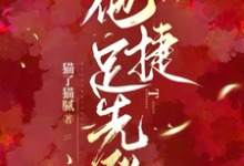 他捷足先登小说无弹窗阅读的网站推荐-瑞奇文学