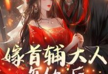 楚若颜晏铮小说完整版《嫁首辅大人复仇后,她被反攻略了》免费阅读-瑞奇文学