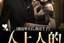 强迫男主后,我过上了人上人的生活小说全文哪里可以免费看?-瑞奇文学
