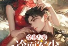 穿书八零：冷面军少夜夜来敲门小说无弹窗阅读的网站推荐-瑞奇文学