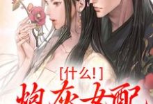 寻找什么!炮灰女配碾压女主?小说的最新更新章节-瑞奇文学