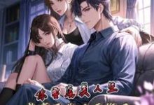 夏夜完整版《你要完美人生,我离开你又后悔了》小说免费阅读-瑞奇文学