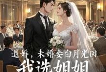 徐仁小说《退婚，未婚妻白月光回，我选姐姐》在线阅读-瑞奇文学