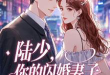 求推荐可以免费阅读陆少，你的闪婚妻子又跑路了小说的网站-瑞奇文学