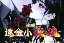 完整版小说《诱捕逐金小玫瑰，疯批大佬很护食》免费阅读-瑞奇文学