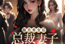 抛夫弃女后,总裁妻子跪求原谅小说无弹窗阅读的网站推荐-瑞奇文学