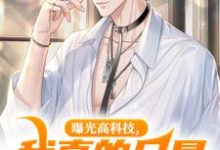 在线免费阅读曝光高科技,我真的只是为了温饱!完整小说-瑞奇文学