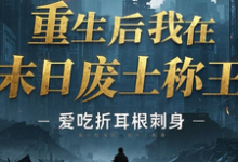 《重生后我在末日废土称王》小说章节列表免费试读,叶风小说在线阅读-瑞奇文学