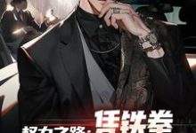 已完结小说《权力之路:凭铁拳,我令黑势力退避》最新章节-瑞奇文学