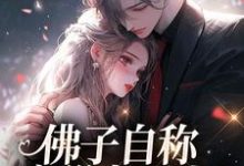 小说《佛子自称空巢老男人?我真的笑了》完整版在线章节免费阅读-瑞奇文学