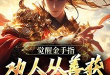 完结版《觉醒金手指：劝人从善获决定武力值》免费阅读-瑞奇文学