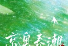 温凝谢之屿小说京澳春潮在线阅读章节-瑞奇文学