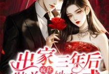 许初颜陆瑾州小说完整版《出家三年后,陆总疯狂诱她破戒》免费阅读-瑞奇文学