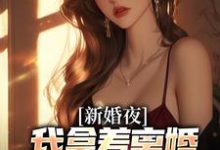 新婚夜，我拿着离婚协议黯然离场小说的免费阅读版本在哪里可以找到？-瑞奇文学