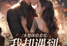 本想体验恋爱,我却遇到坑爹大佬!免费阅读,本想体验恋爱,我却遇到坑爹大佬!盛夏-瑞奇文学